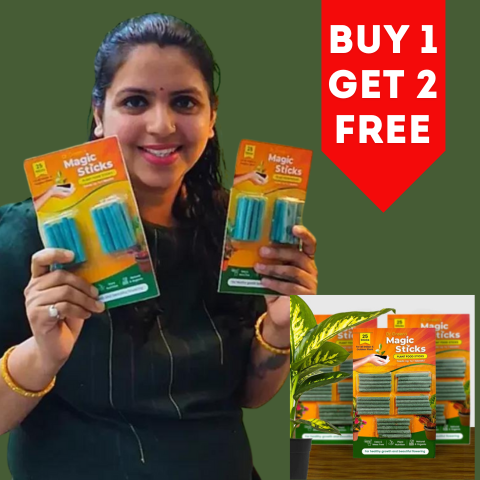 Dr.Green's - Magic Plant Sticks- (Buy 1 Get 2 Free)