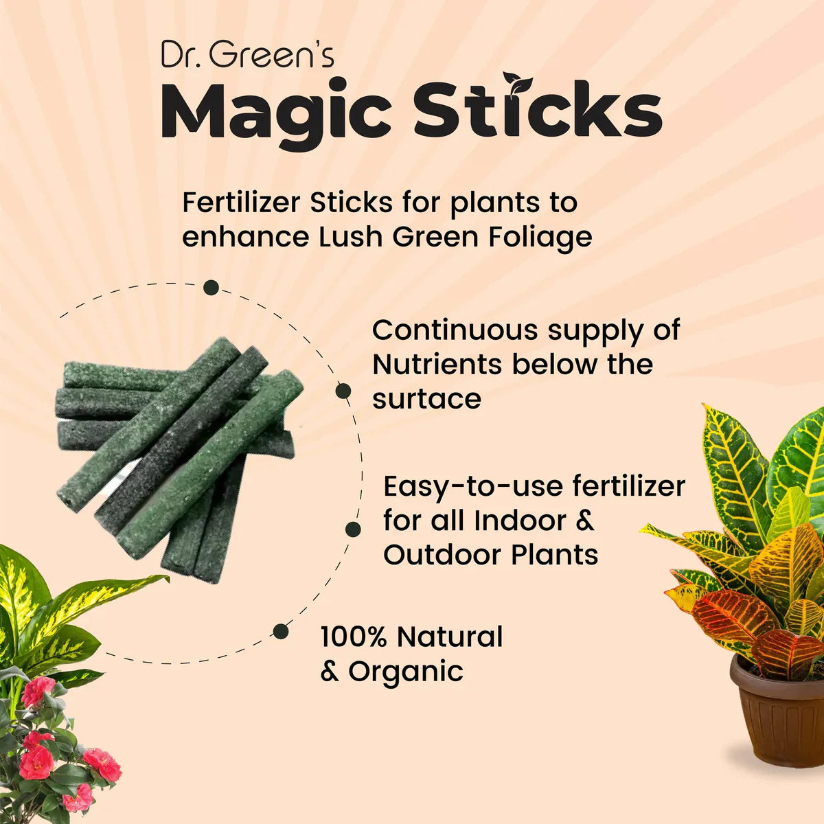 Dr.Green's - Magic Plant Sticks- (Buy 1 Get 2 Free)