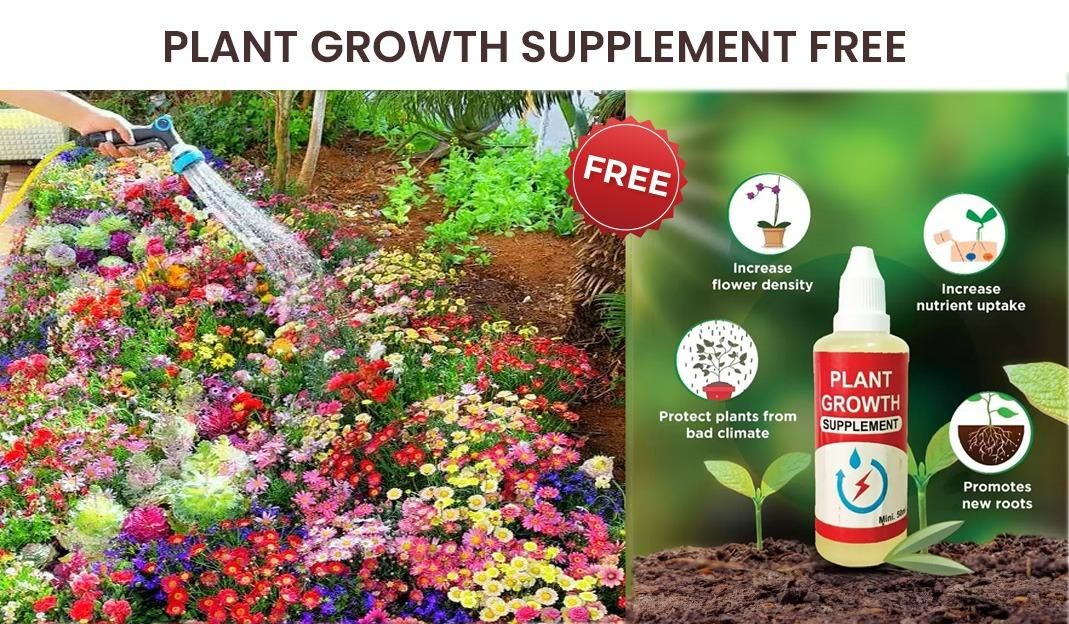 Rainy Season Flower Seeds (Pack of 100) + Free Plant Growth Supplement