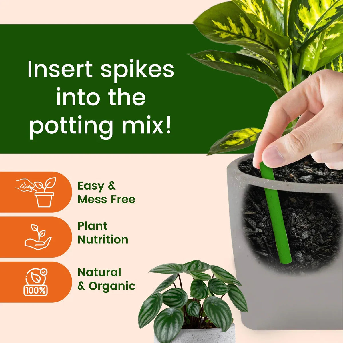 Dr.Green's - Magic Plant Sticks- (Buy 1 Get 2 Free)